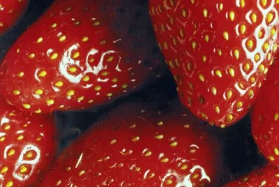 Maduixes jigsaw puzzle