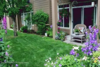 Peaceful Summer Garden