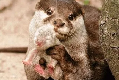mom #86