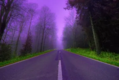 Purple Misty Road