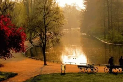 PARQUE jigsaw puzzle