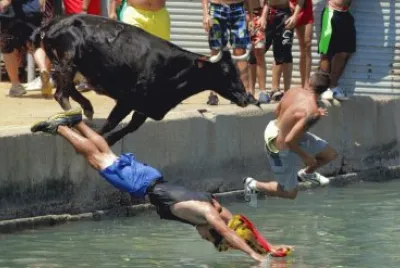 ChapuzÃ³n en EspaÃ±a jigsaw puzzle