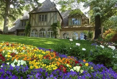 Floral Beauty jigsaw puzzle