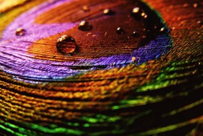 Colors jigsaw puzzle