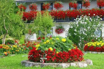 â™¦ jigsaw puzzle