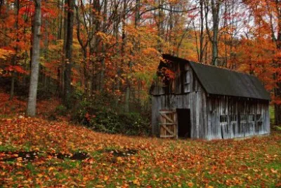 autumn country barn
