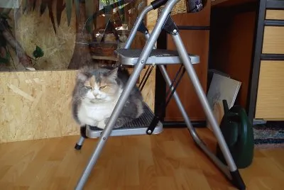 Minka jigsaw puzzle