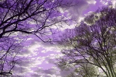פאזל של Purple Sky