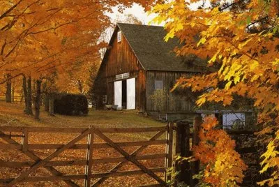 autumn country barn