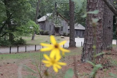Old Church Beyond a Flower
