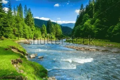 Landscape With River
