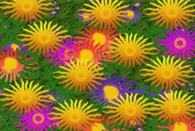 foto jigsaw puzzle