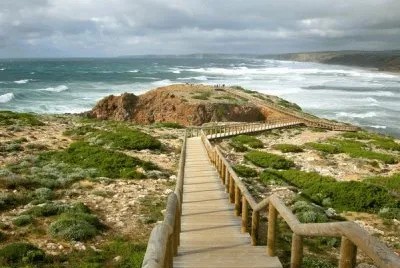 path to beach jigsaw puzzle