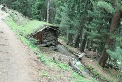 sod roof