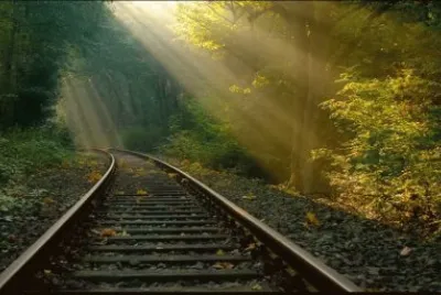 tracks