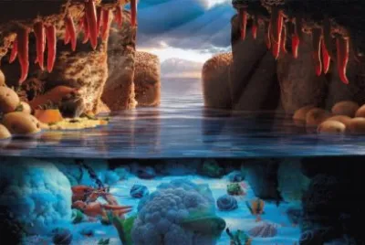 the cove jigsaw puzzle