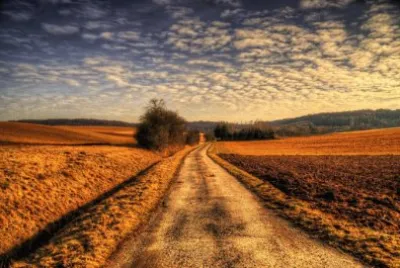 almost home jigsaw puzzle