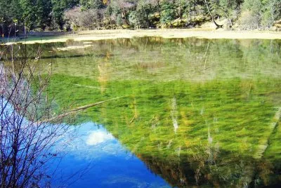 lago