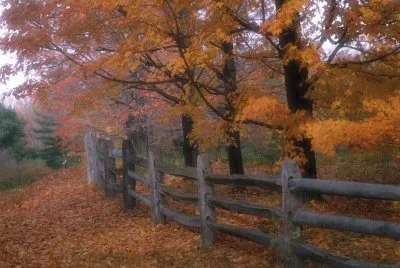country fence jigsaw puzzle