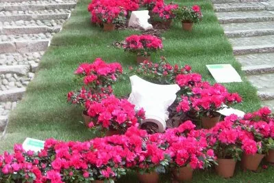 Temps de flors 2011 jigsaw puzzle