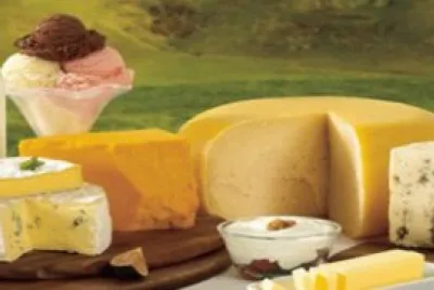 פאזל של California Dairy Farm Products