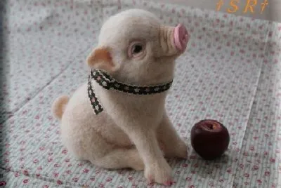 Animaladas