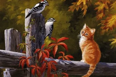 Animaladas