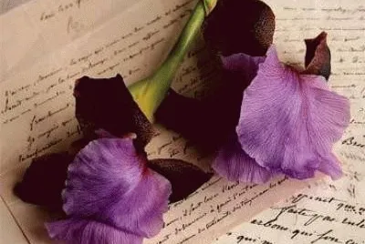 פאזל של Purple Flower-Still Life Art