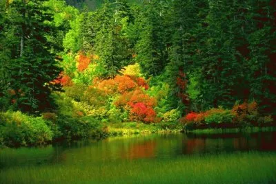 c jigsaw puzzle