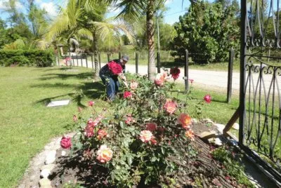 Jardin