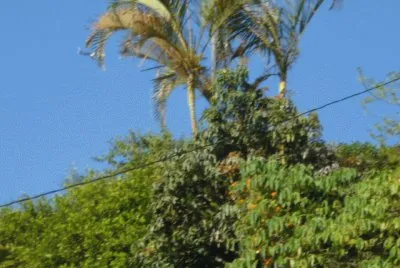 Paisaje