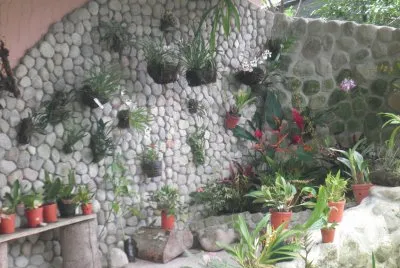 orquideas