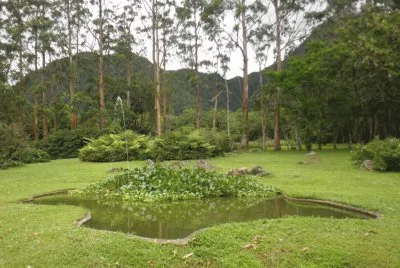 pequeÃ±a laguna