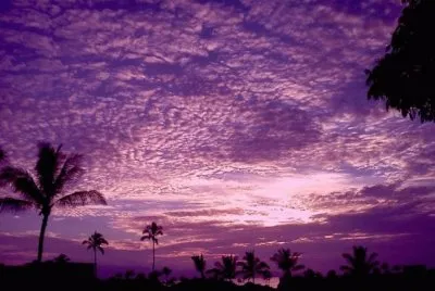 פאזל של Maui Purple Haze-Hawaii