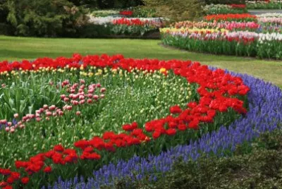 פאזל של Flower Garden
