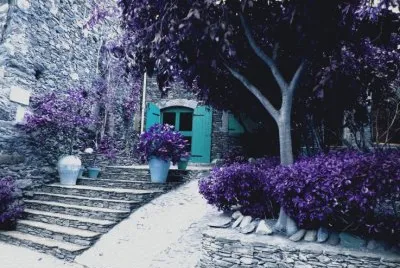 Purple Village Walkway jigsaw puzzle