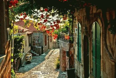 331 jigsaw puzzle