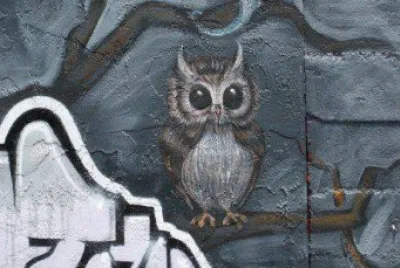 406