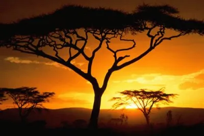puesta de sol 1 jigsaw puzzle