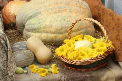 Fira de la tardor