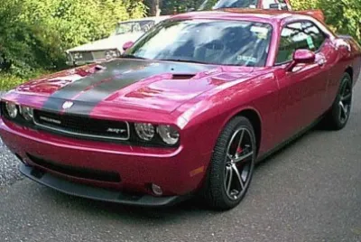 Fuchsia Dodge Challenger