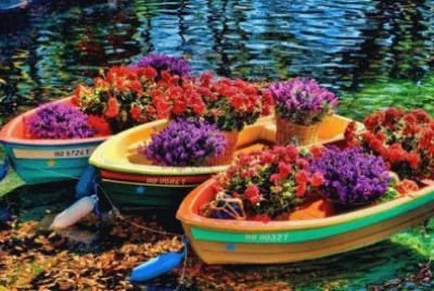 Barco com flores