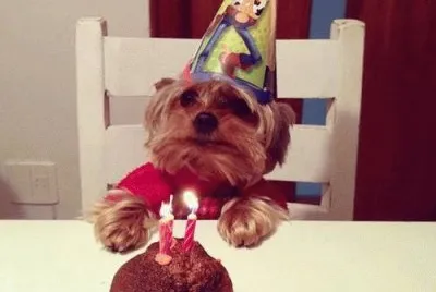 Feliz AniversÃ¡rio