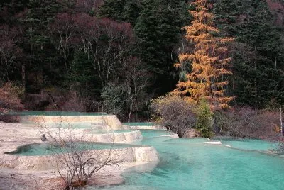 natureza