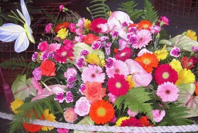 Flors jigsaw puzzle