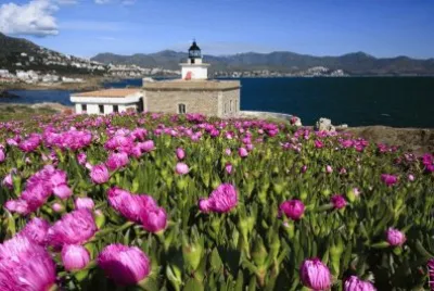Far de Sarnella jigsaw puzzle