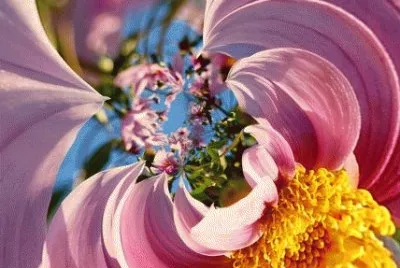 Colors jigsaw puzzle