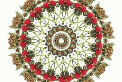 FaraÃ³n