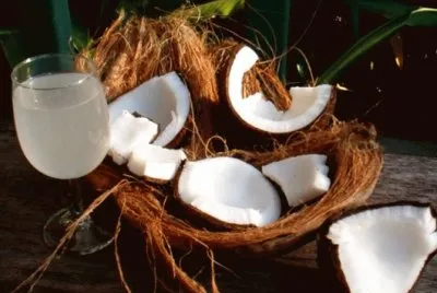 Cocos jigsaw puzzle