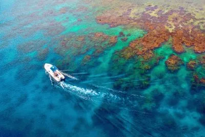 Roatan coral reef